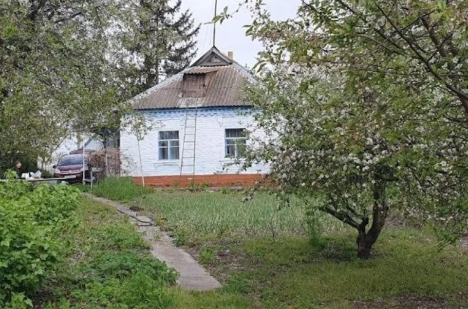 Снимок экрана 2024 02 01 174544.png